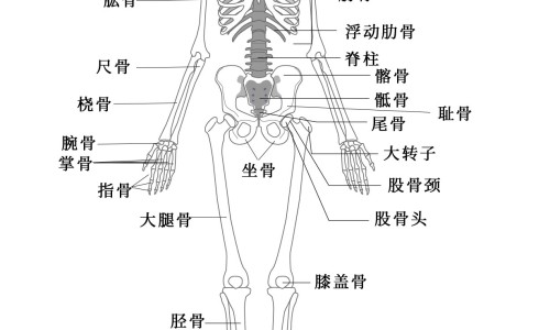 孕妇梦见油菜花盛开是什么意思-孕妇梦见油菜花海网 :分享孕妇梦见油菜花海是男是女-胎梦油菜花是女儿还是儿子知识