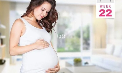 孕妇梦见油菜花盛开是什么意思-孕妇梦见油菜花海网 :分享孕妇梦见油菜花海是男是女-胎梦油菜花是女儿还是儿子知识